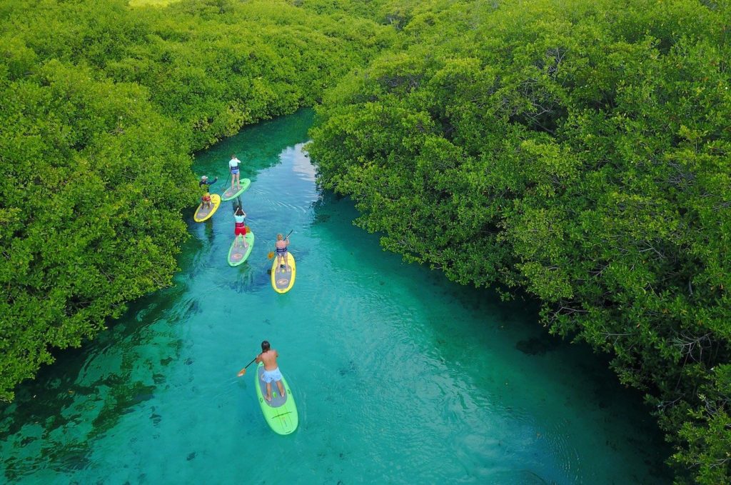 paddle-side-4